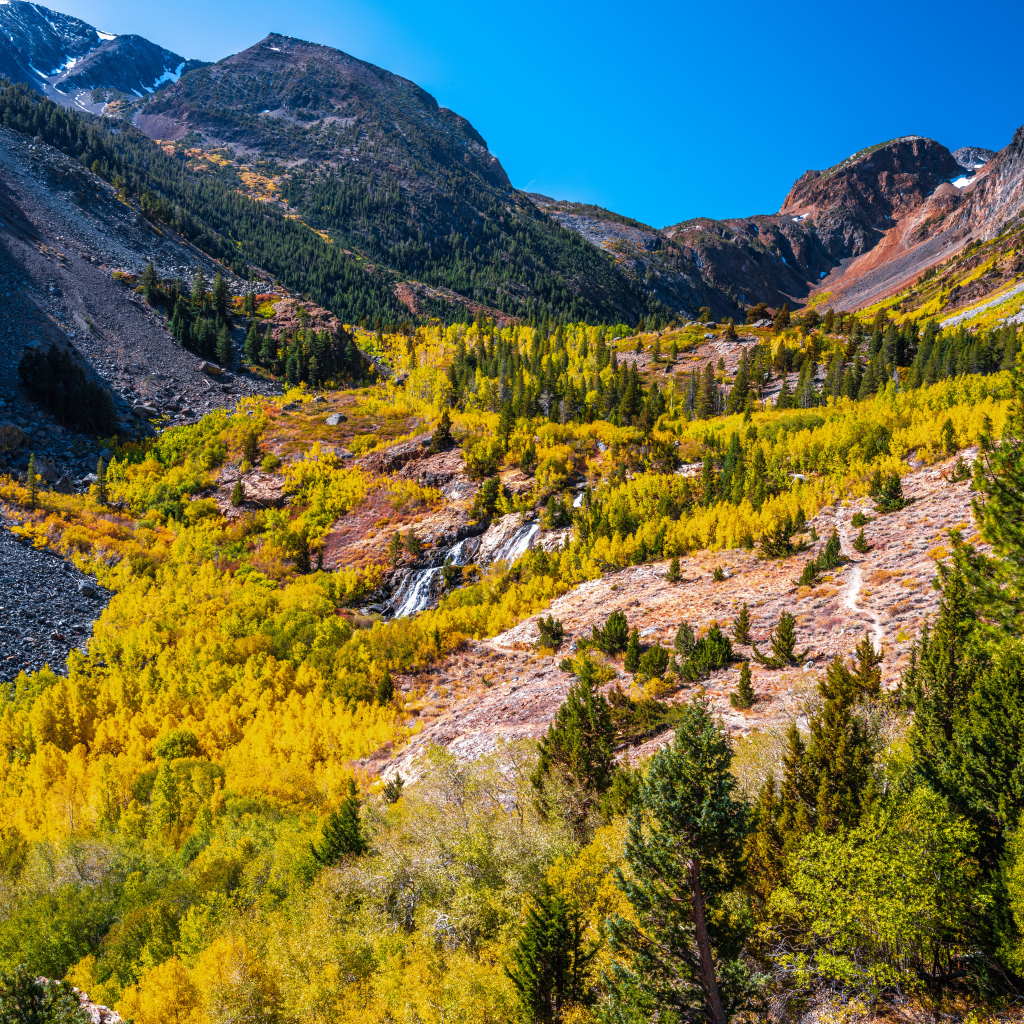 Вид на живописный каньон в США 