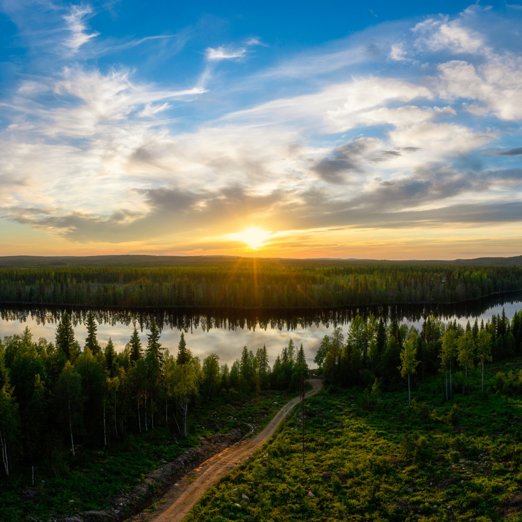 Рассвет яркого солнца над зеленым лесом и рекой