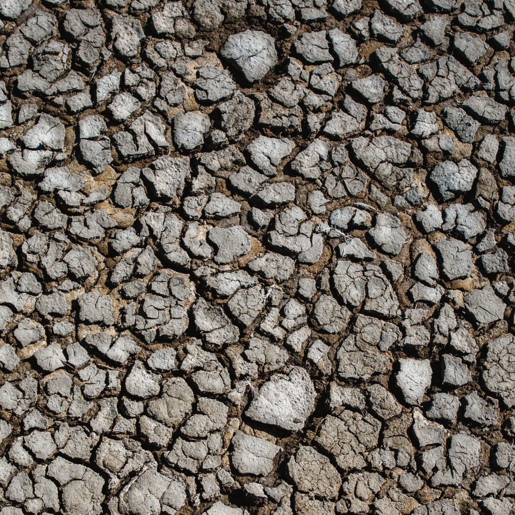 Потрескавшаяся после засухи земля 