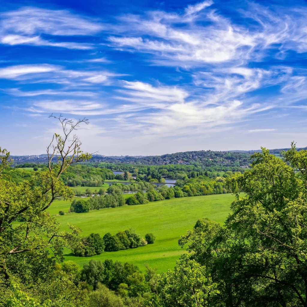Красивый вид на зеленые холмы под голубым небом летом