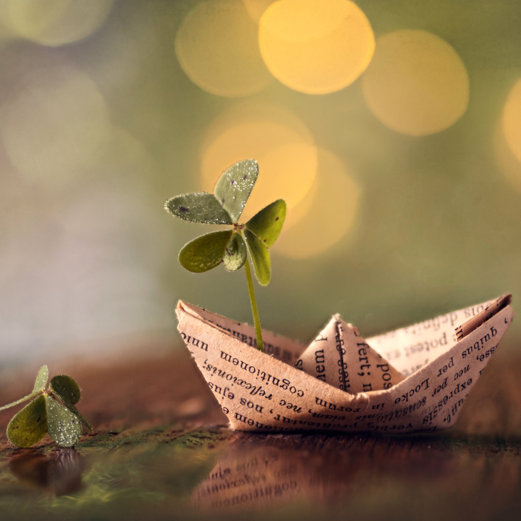 Бумажный кораблик с зеленым листом клевера