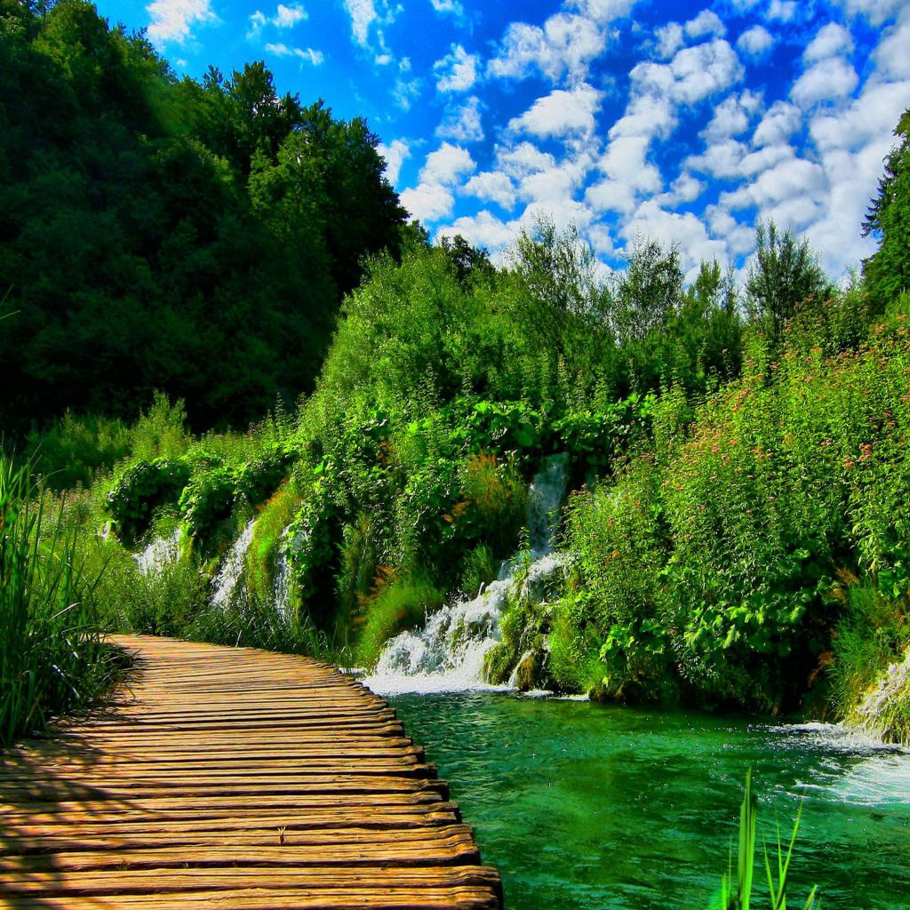 Деревянный мост в живописном зеленом лесу с водопадами