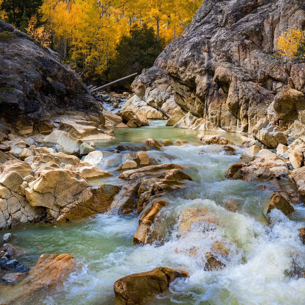 Быстрая холодная горная река бежит по камням