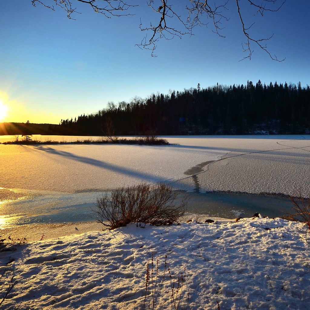 Покрытая льдом река в лучах солнца у леса 