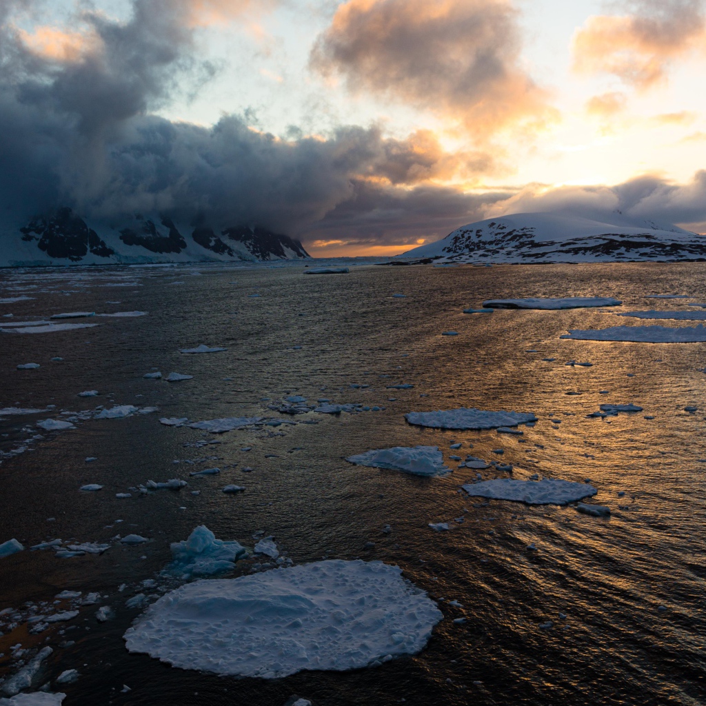 Льдины в воде у покрытых снегом гор в тумане