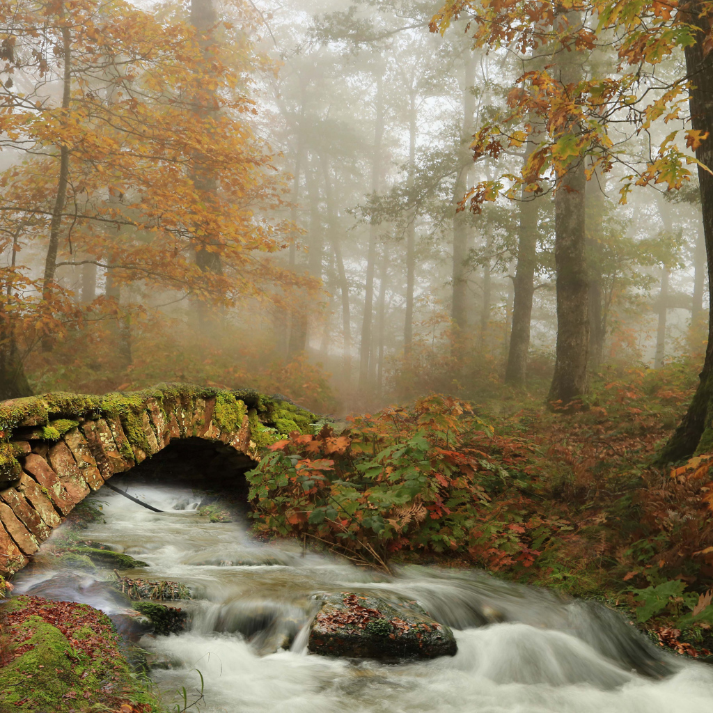 Old stone bridge over the stream in the autumn forest