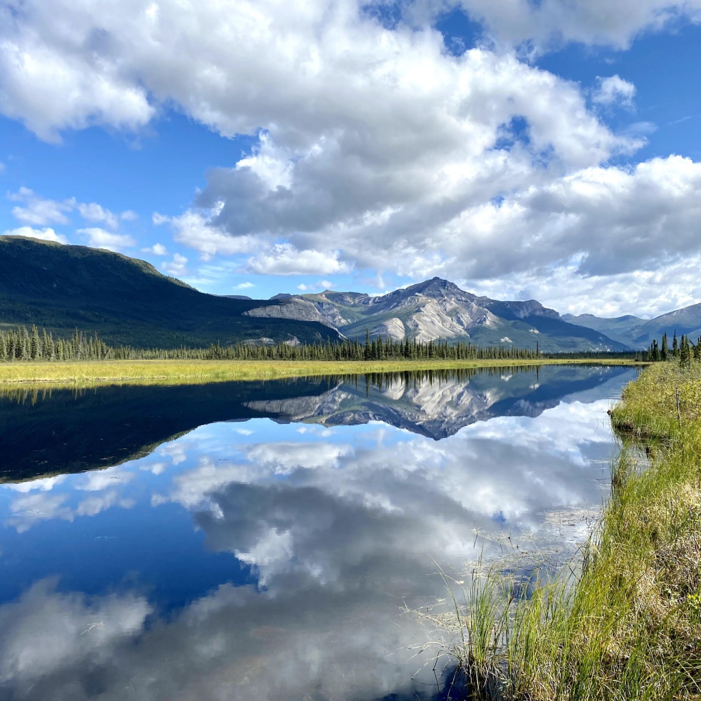 Небо с белыми облаками отражается в реке 