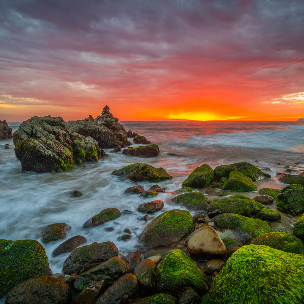 Покрытые зеленым мхом камни на берегу моря