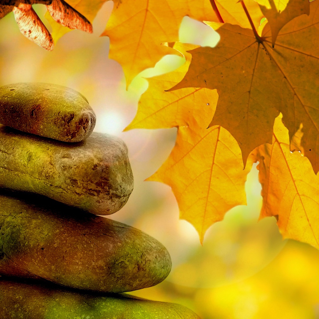 Большие камни с желтыми осенними листьями 