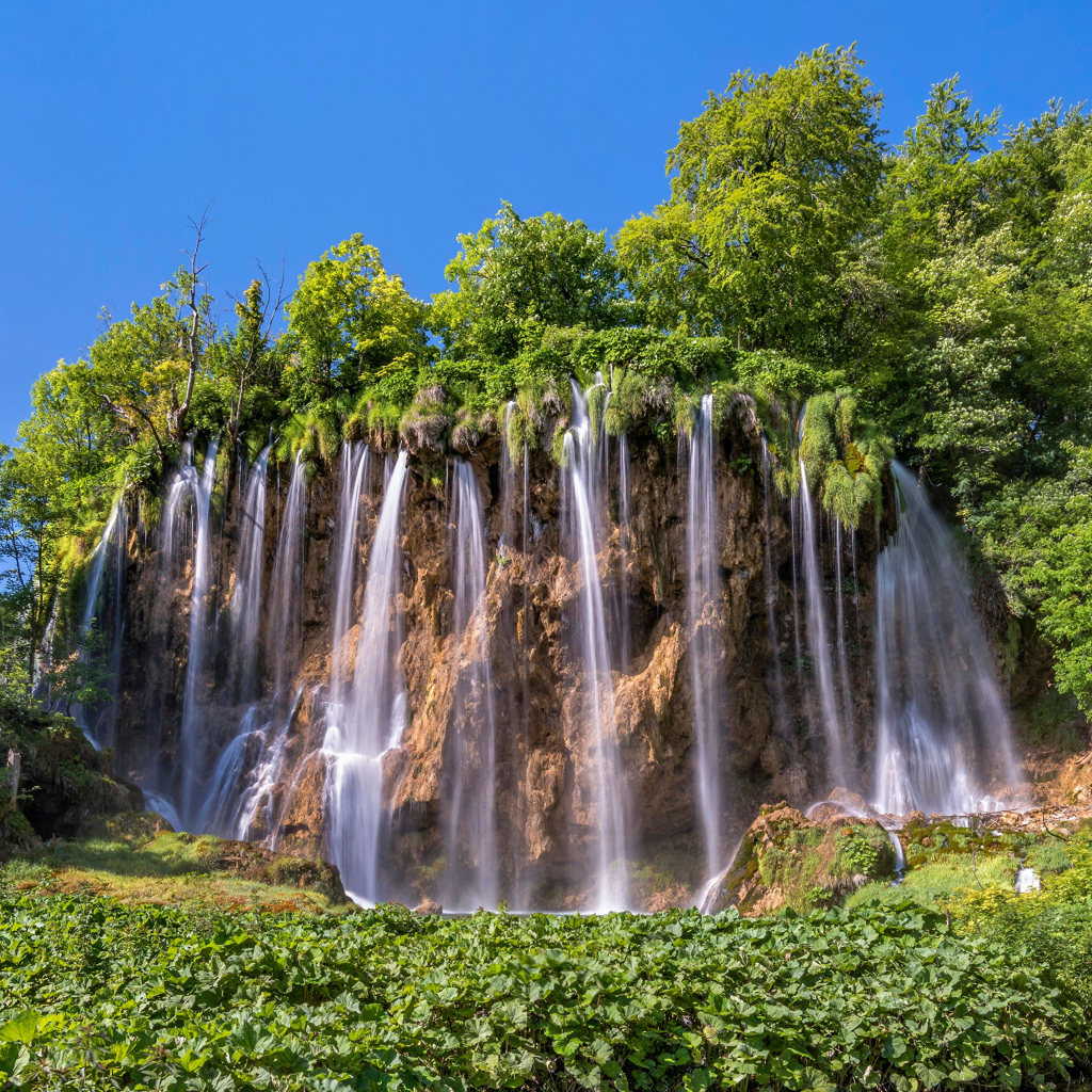 Красивый водопад стекает со склона с зелеными деревьями 