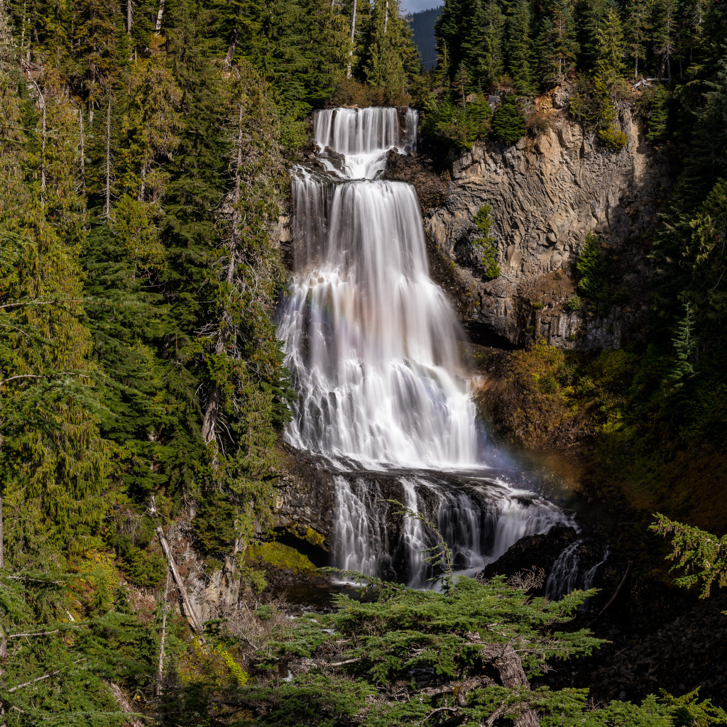 Большой водопад Александр стекает по скале в лесу 