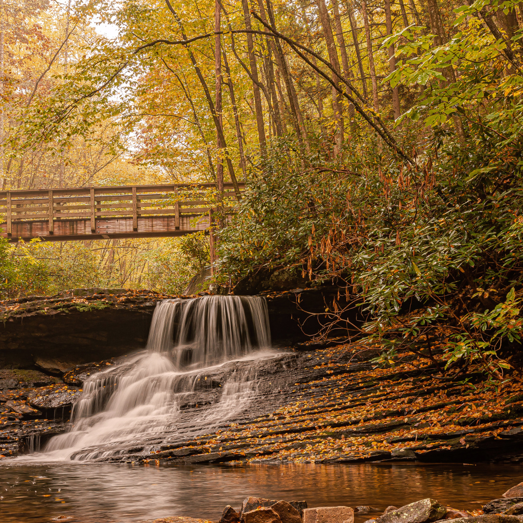 Водопад стекает по камням под мостом осенью