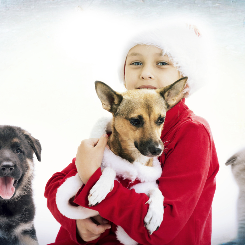Мальчик в рождественской шапке с собаками