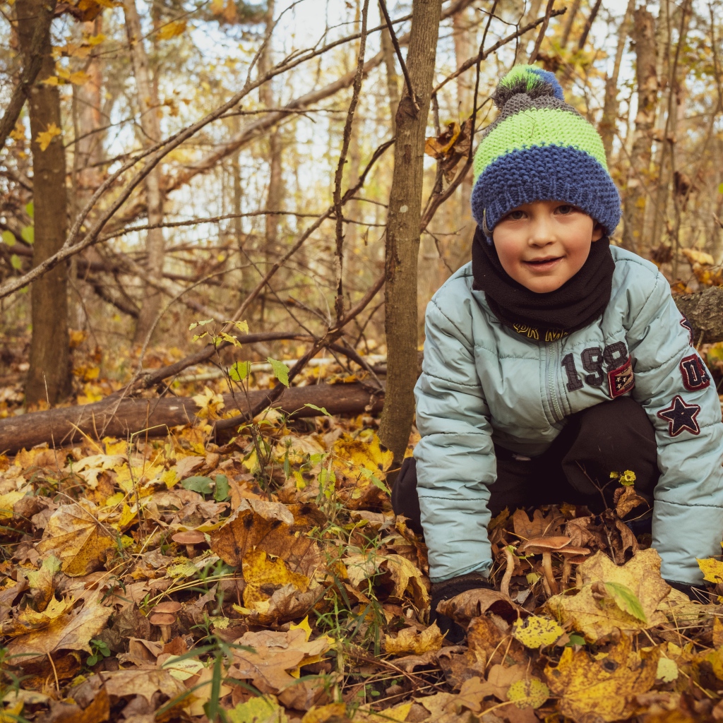 Маленький мальчик в лесу сидит на листве 