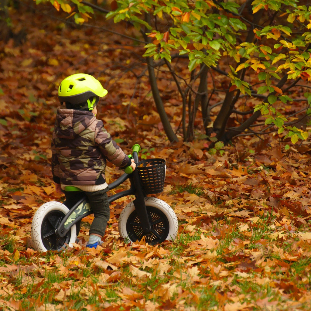Маленький мальчик на велосипеде в осеннем парке 
