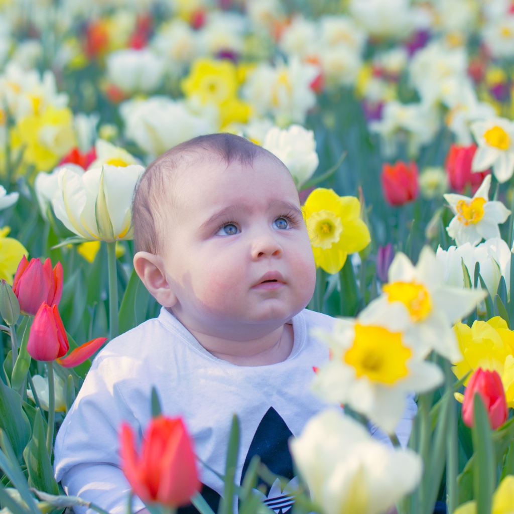 Маленький ребенок сидит на клумбе с тюльпанами и нарциссами 
