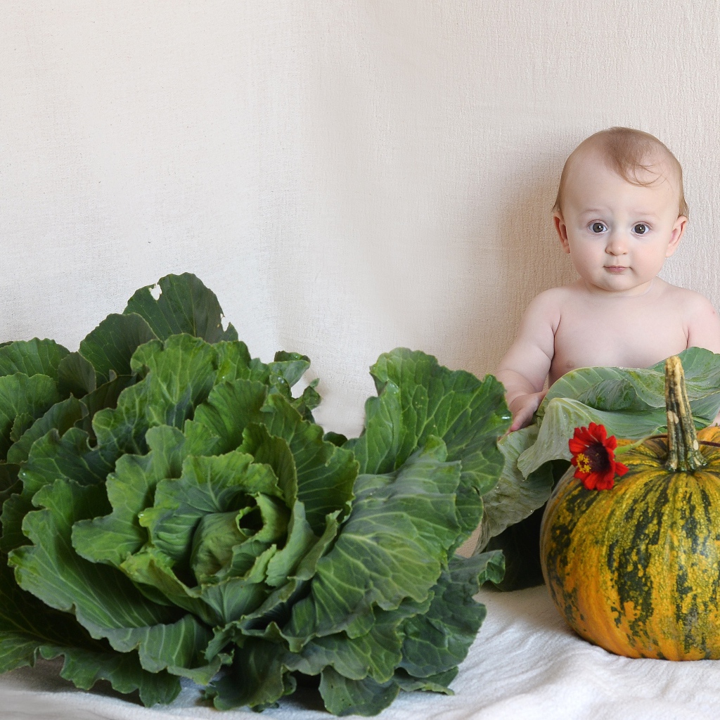 Маленький ребенок с  тыквой и капустой у стены