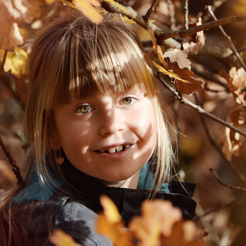 Маленькая девочка в ветках дерева осенью 