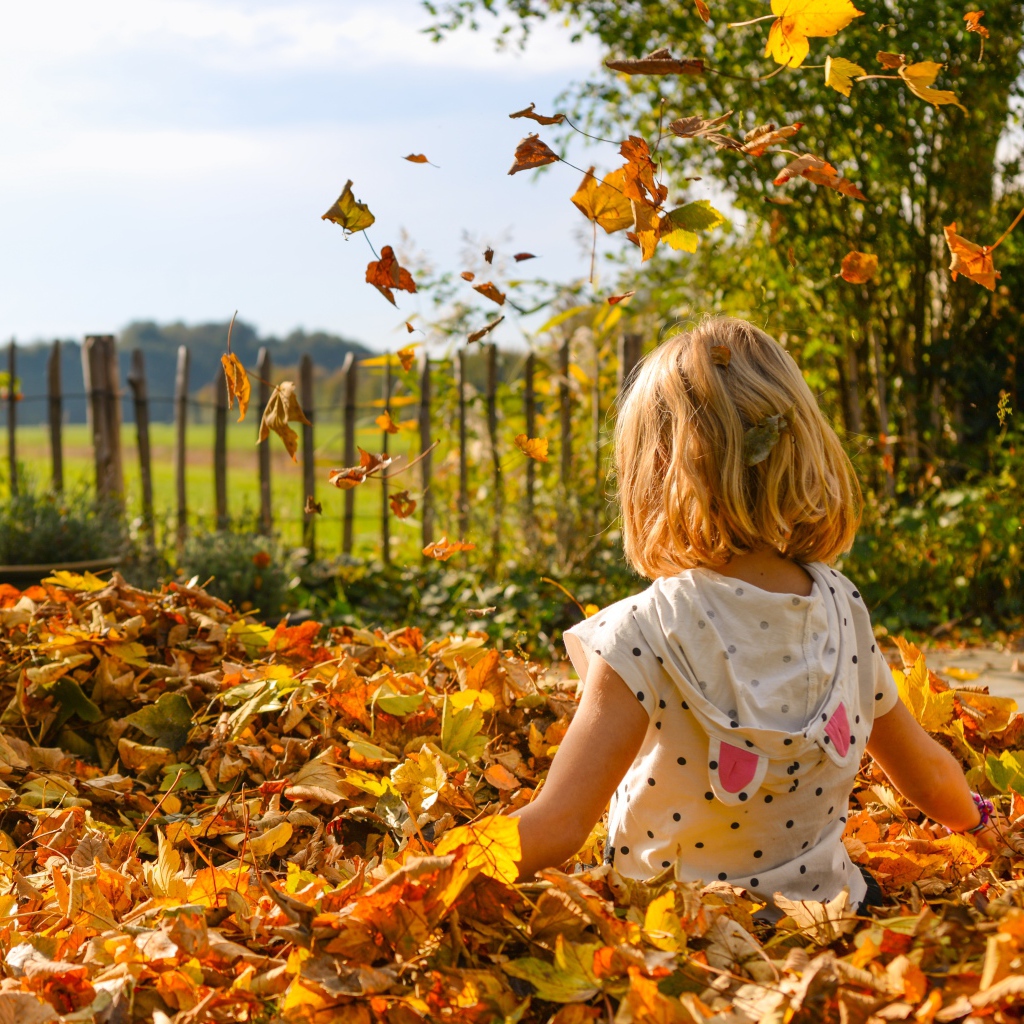 Маленькая девочка сидит в сухой листве