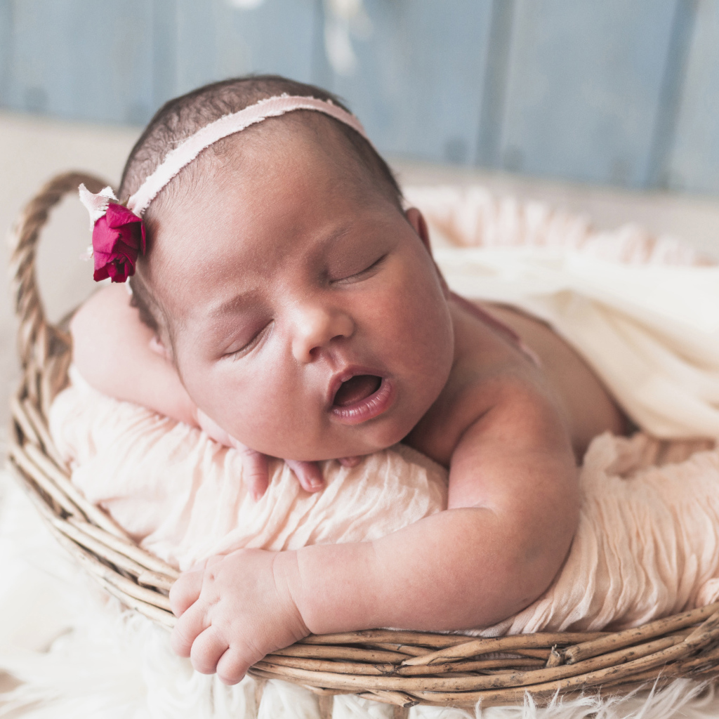 Новорожденная девочка лежит в корзине 