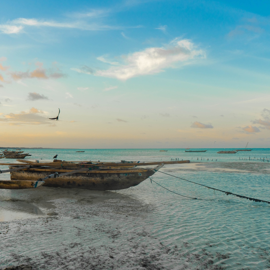 Старая лодка стоит на песке у моря