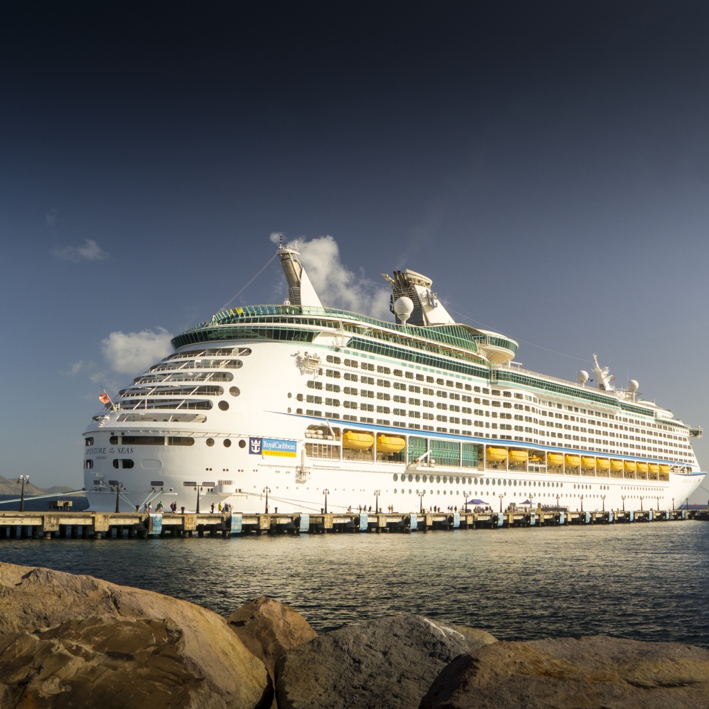 Большой круизный лайнер в море 