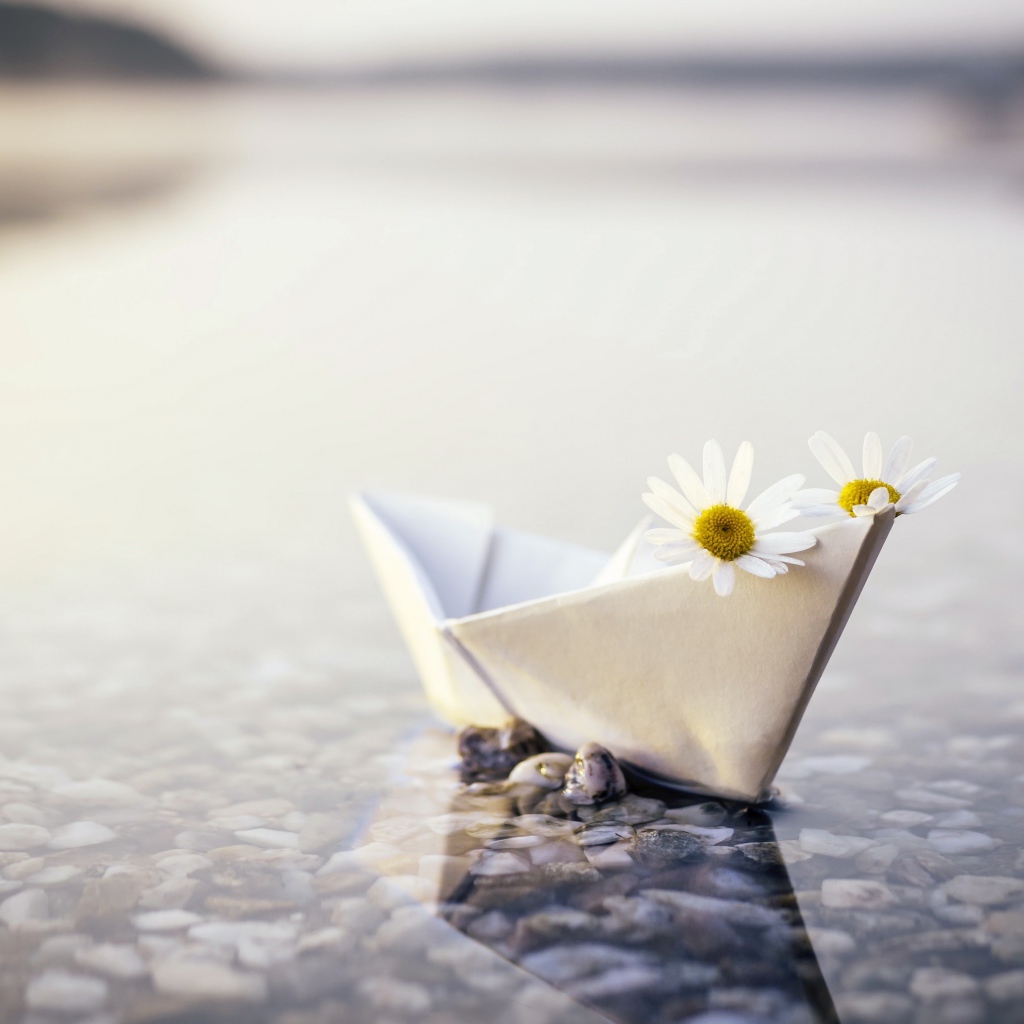 Бумажный кораблик в воде с ромашками