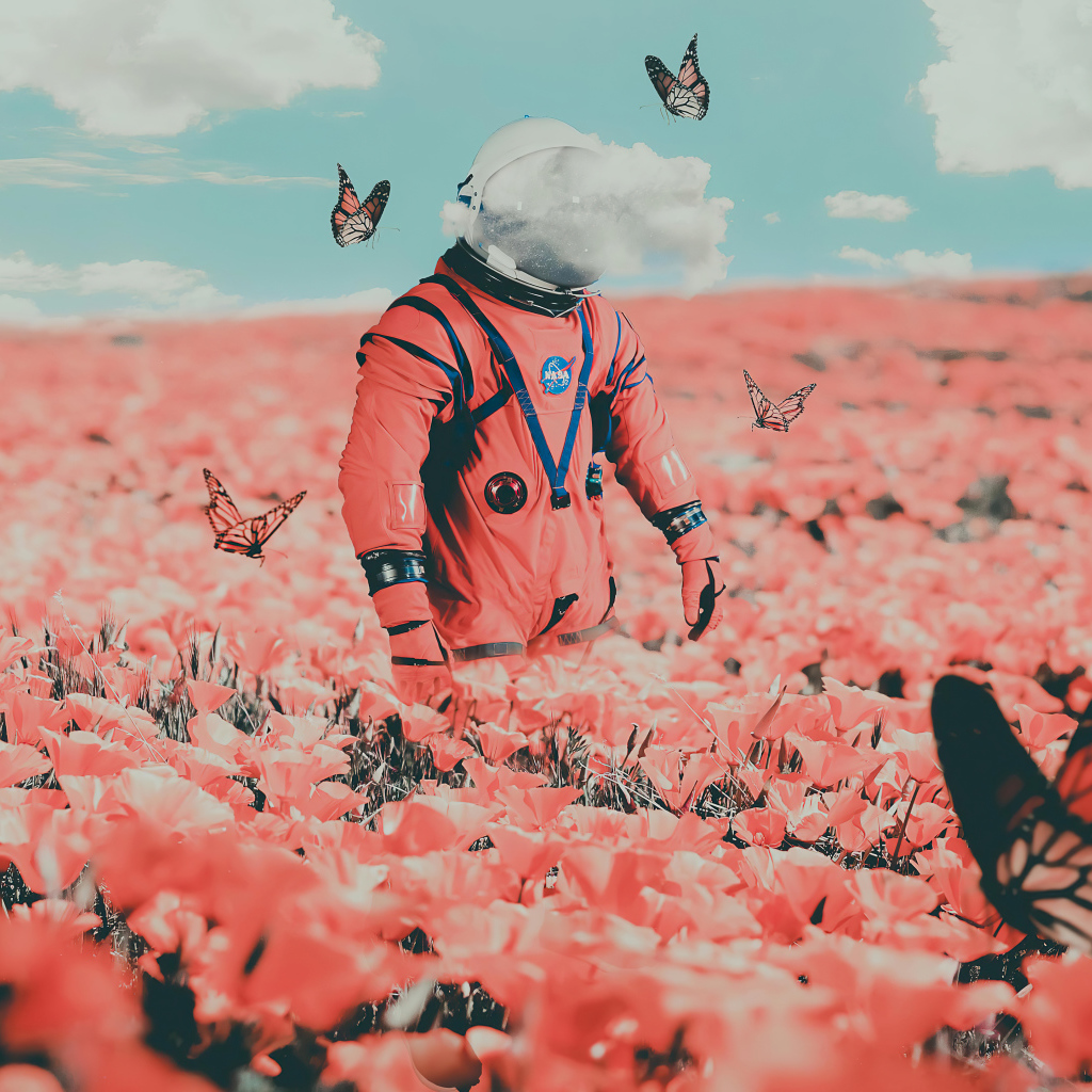 Космонавт идет по полю с бабочками и красными маками