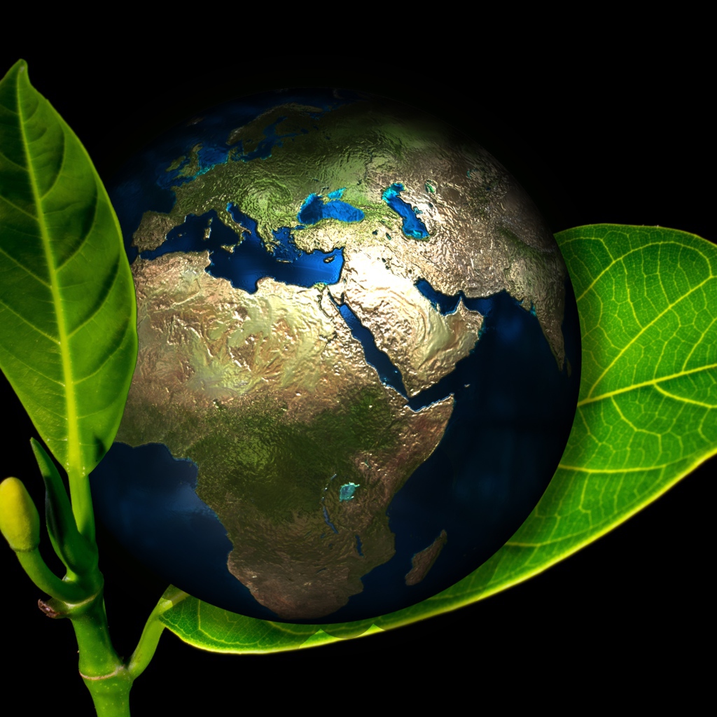 Planet earth lies on a green leaf