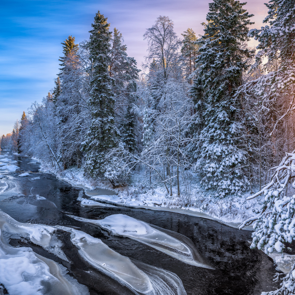 Холодная ледяная река у покрытых инеем деревьев в лучах солнца