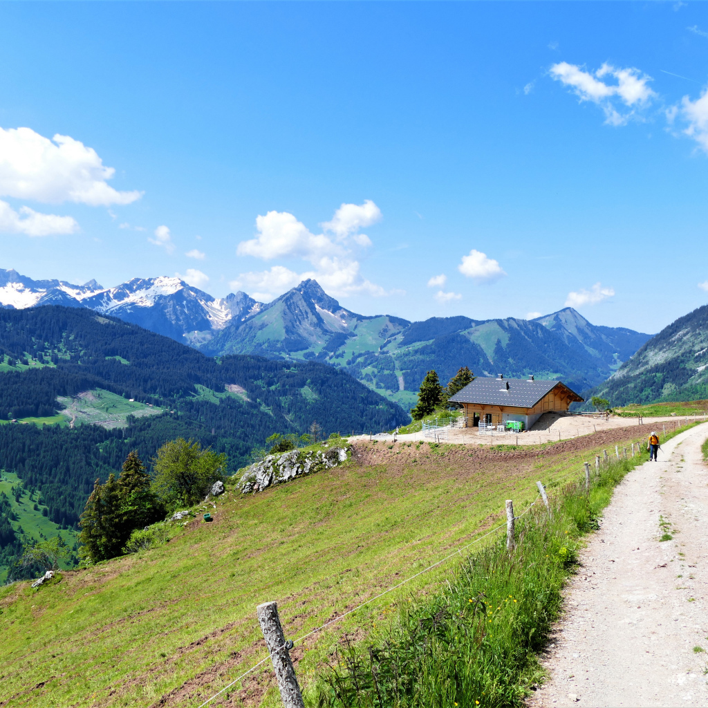 Красивый вид на покрытые зеленью Альпы, Франция 