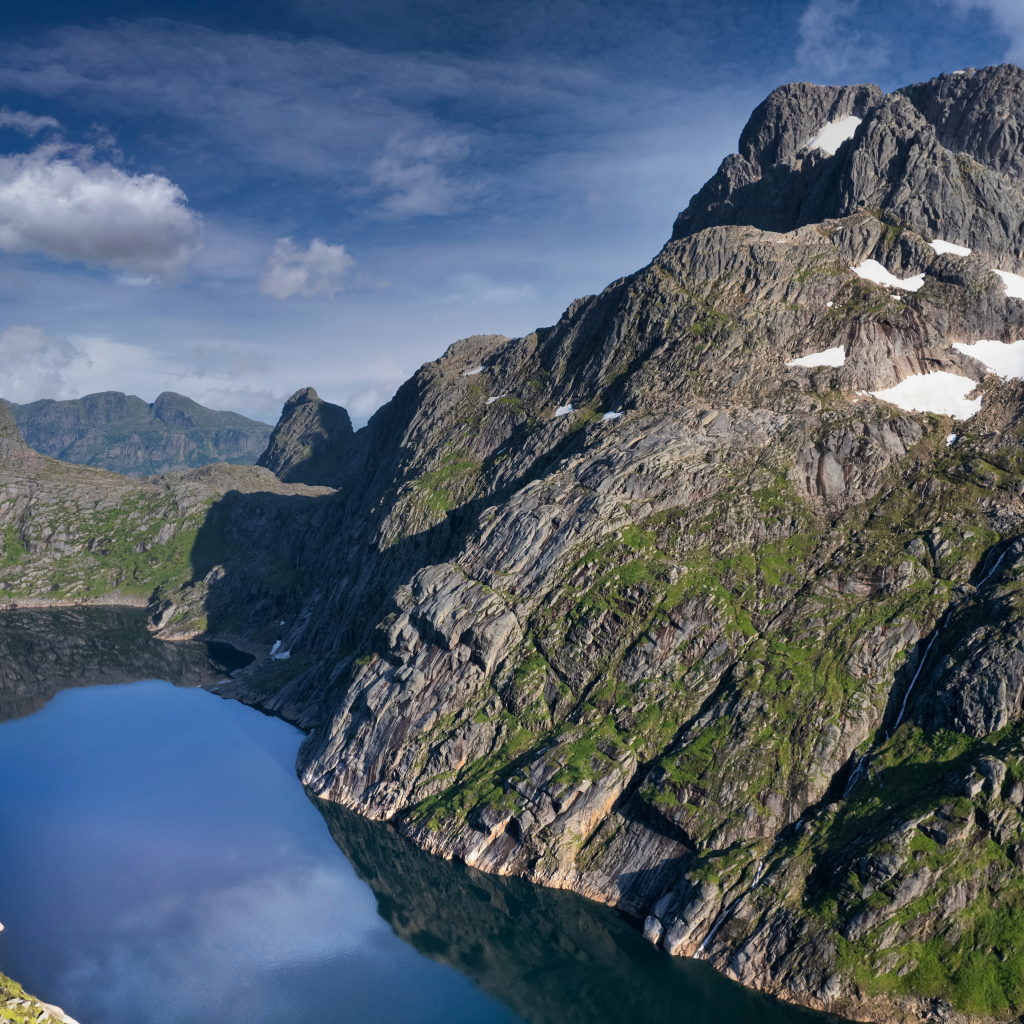 Большая серая года у озера, Лофотенские острова. Норвегия
