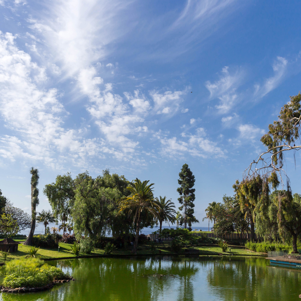 Красивое голубое небо над парком, Португалия