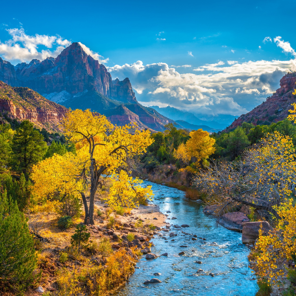 Красивый вид на национальный парк Сион осенью, США