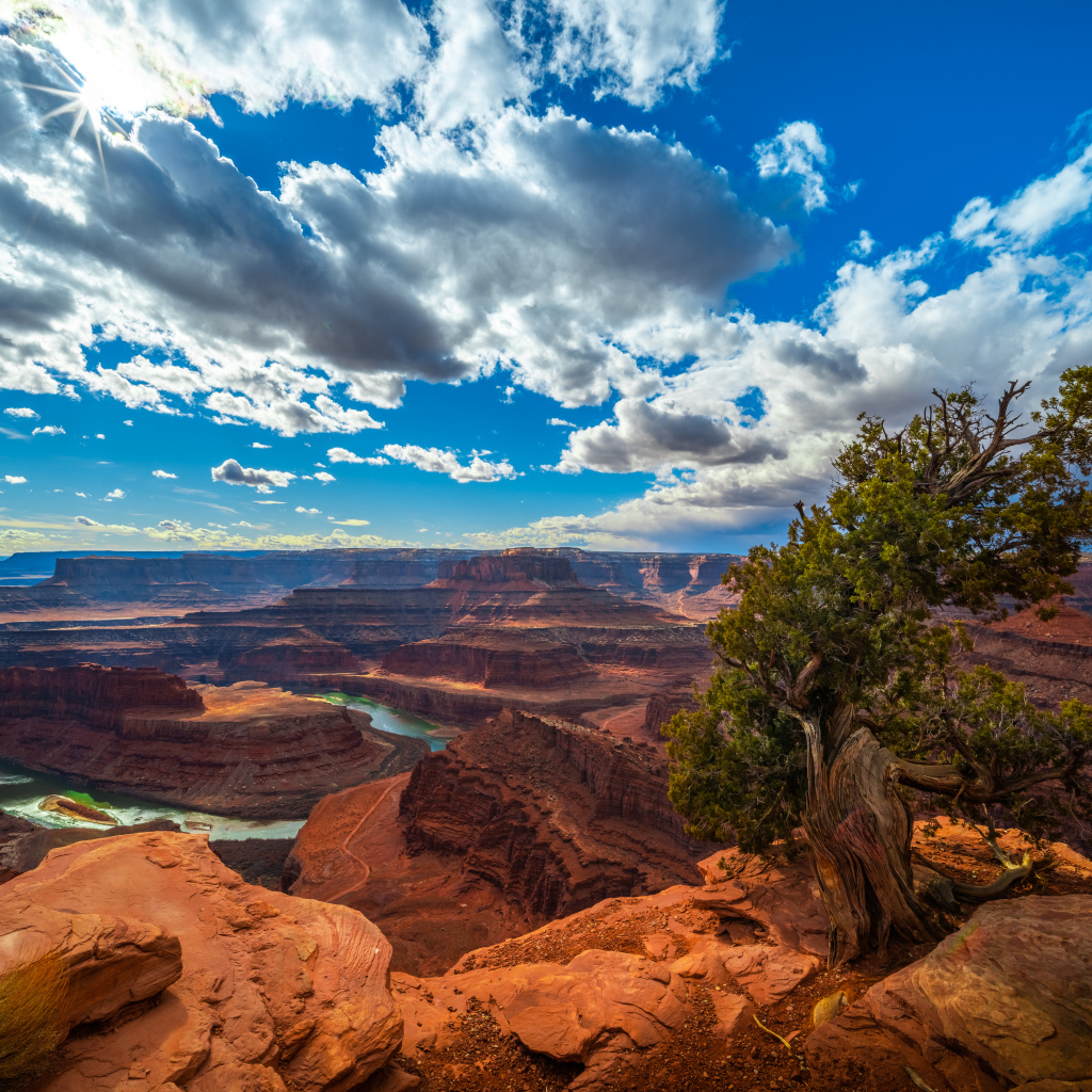 Красивый вид на каньон под голубым небом, США