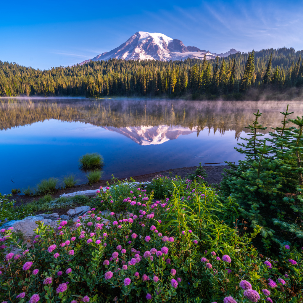 Красивый вид на заснеженную вершину горы у озера, США 