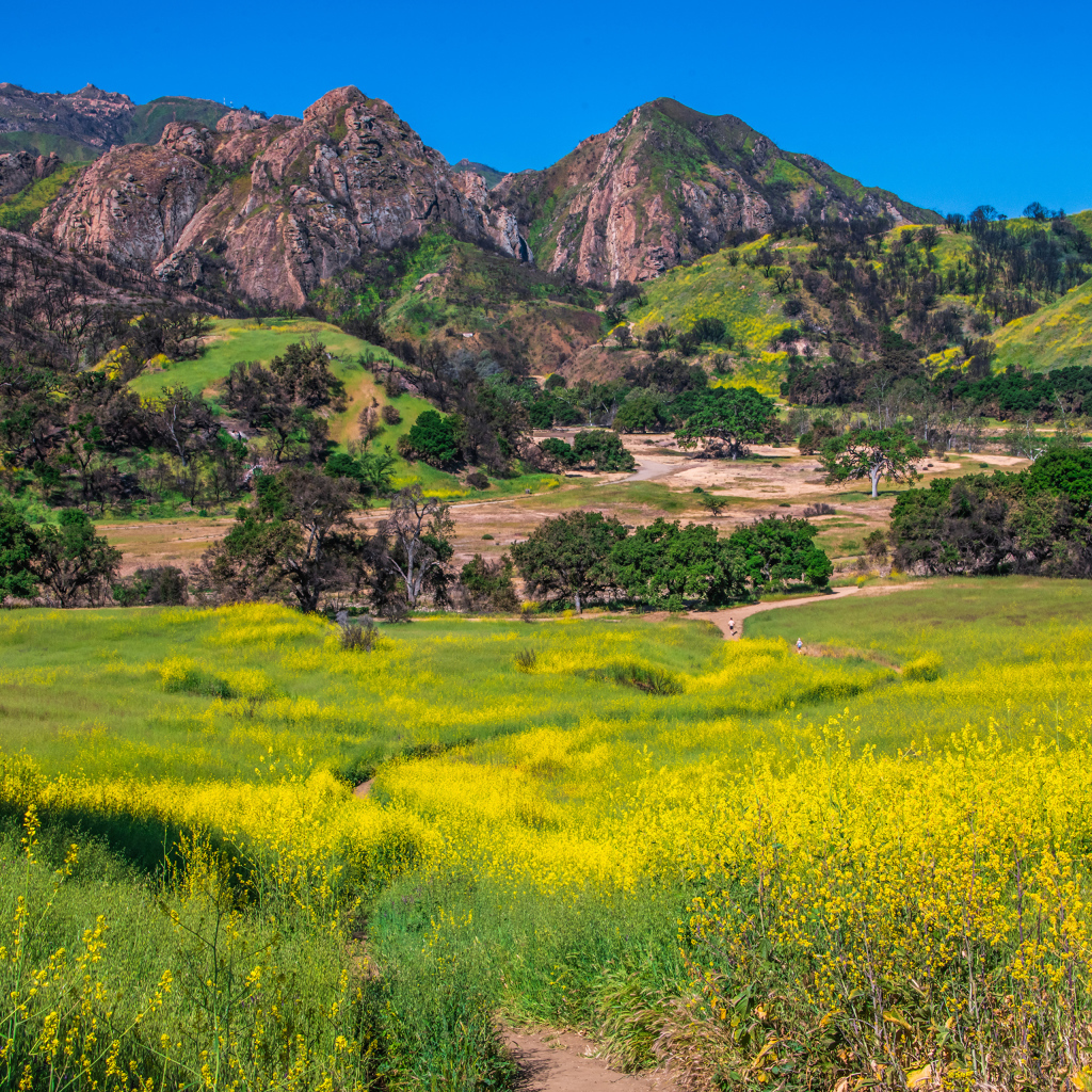Большие горы под голубым небом, США