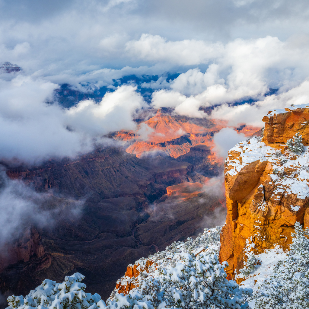 Вид на Гранд каньон под белыми облаками,США