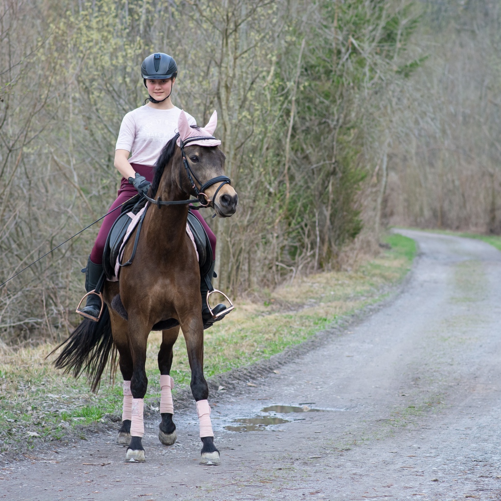 Молодая девушка катается на лошади 