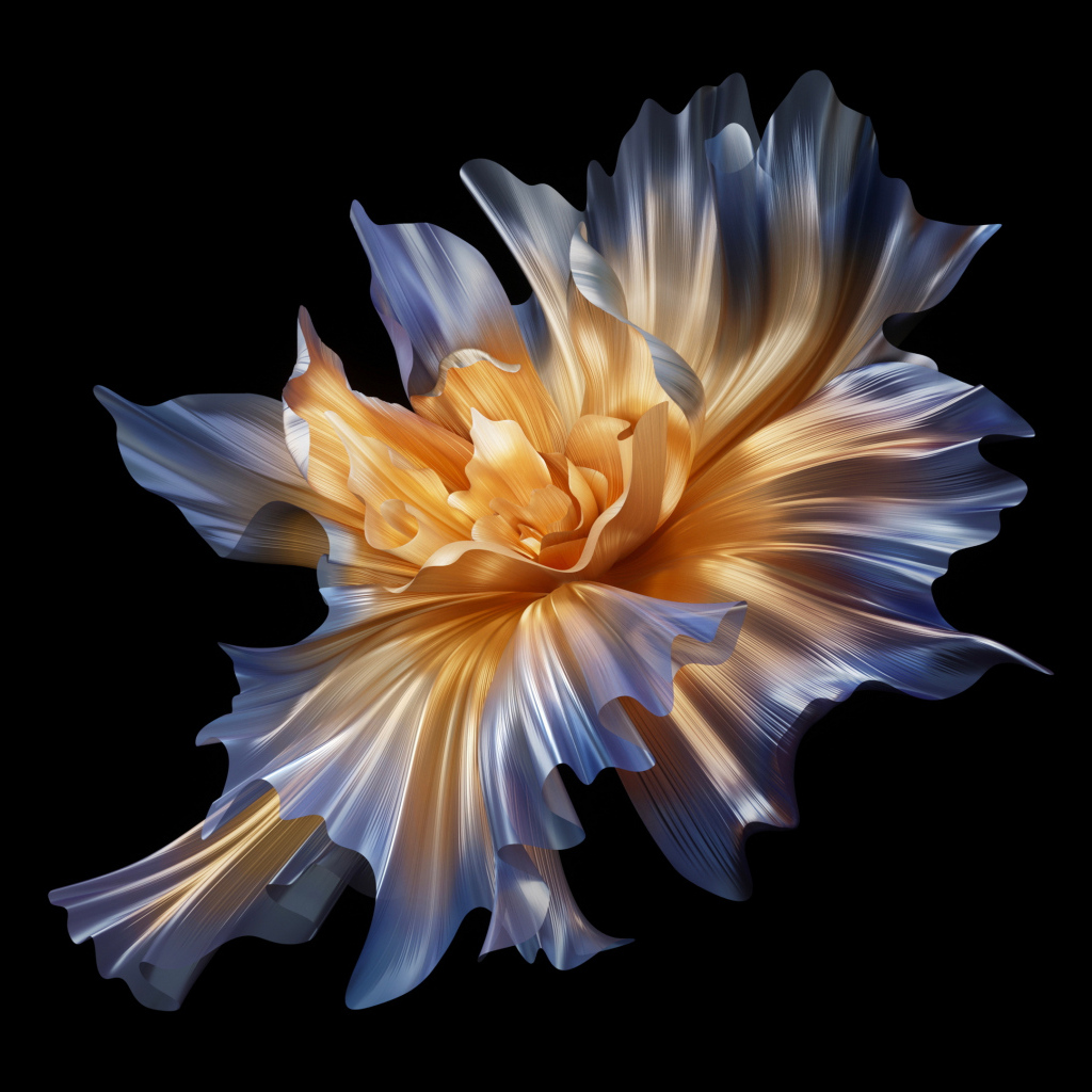 Красивый абстрактный белый цветок на черном фоне