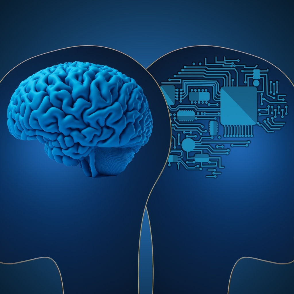 Живой мозг и искусственный интеллект на синем фоне
