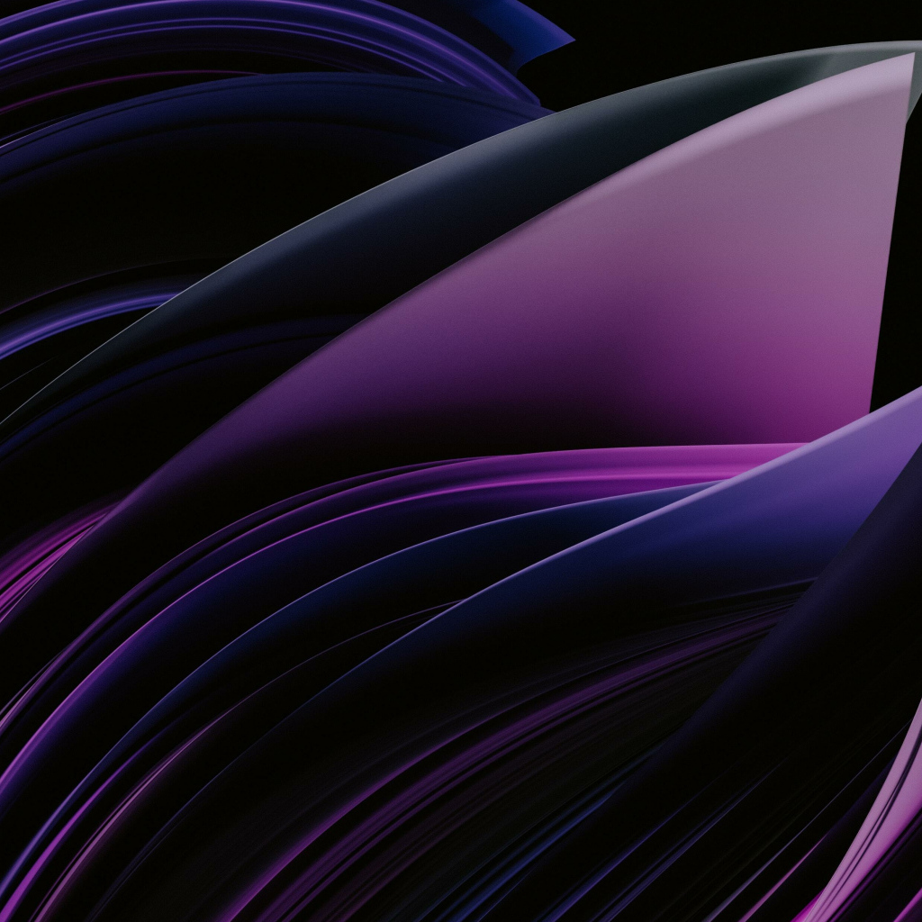 Фиолетовые абстрактные лепестки на черном фоне