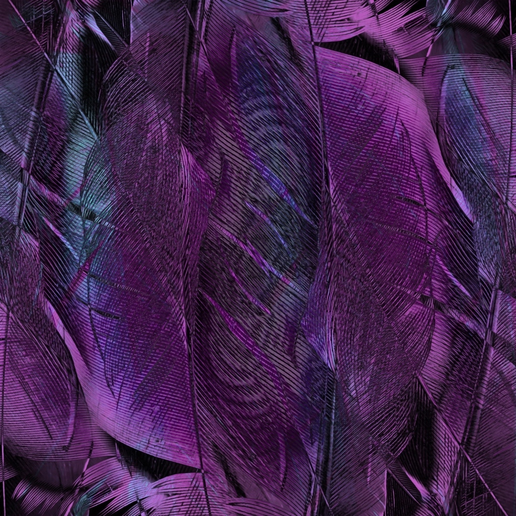 Фиолетовые перья птицы крупным планом