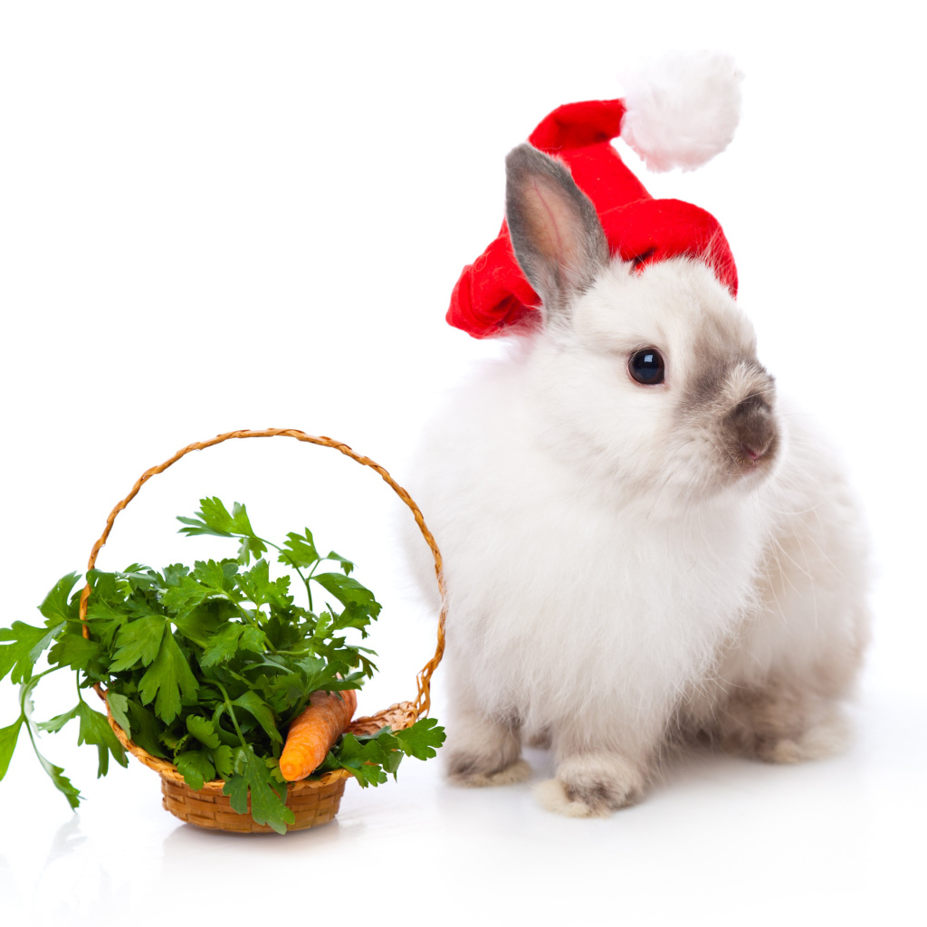 Милый кролик с корзинкой с зеленью на белом фоне