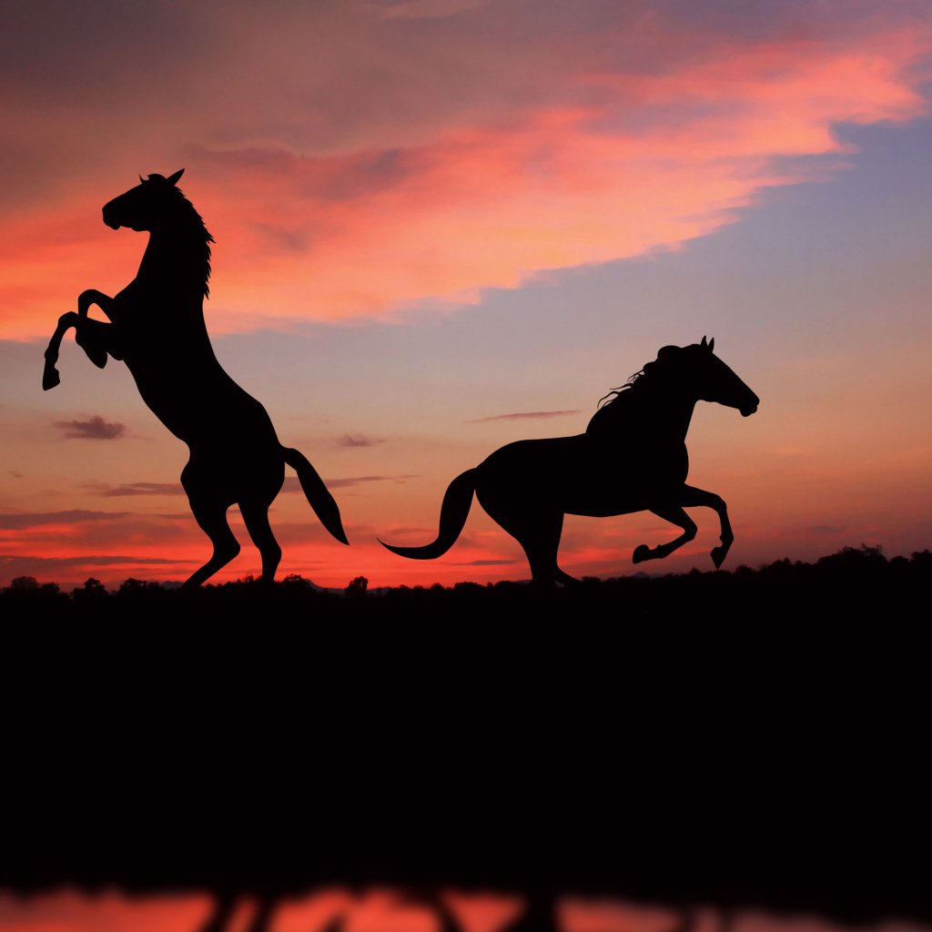 Два силуэта лошади на фоне заката