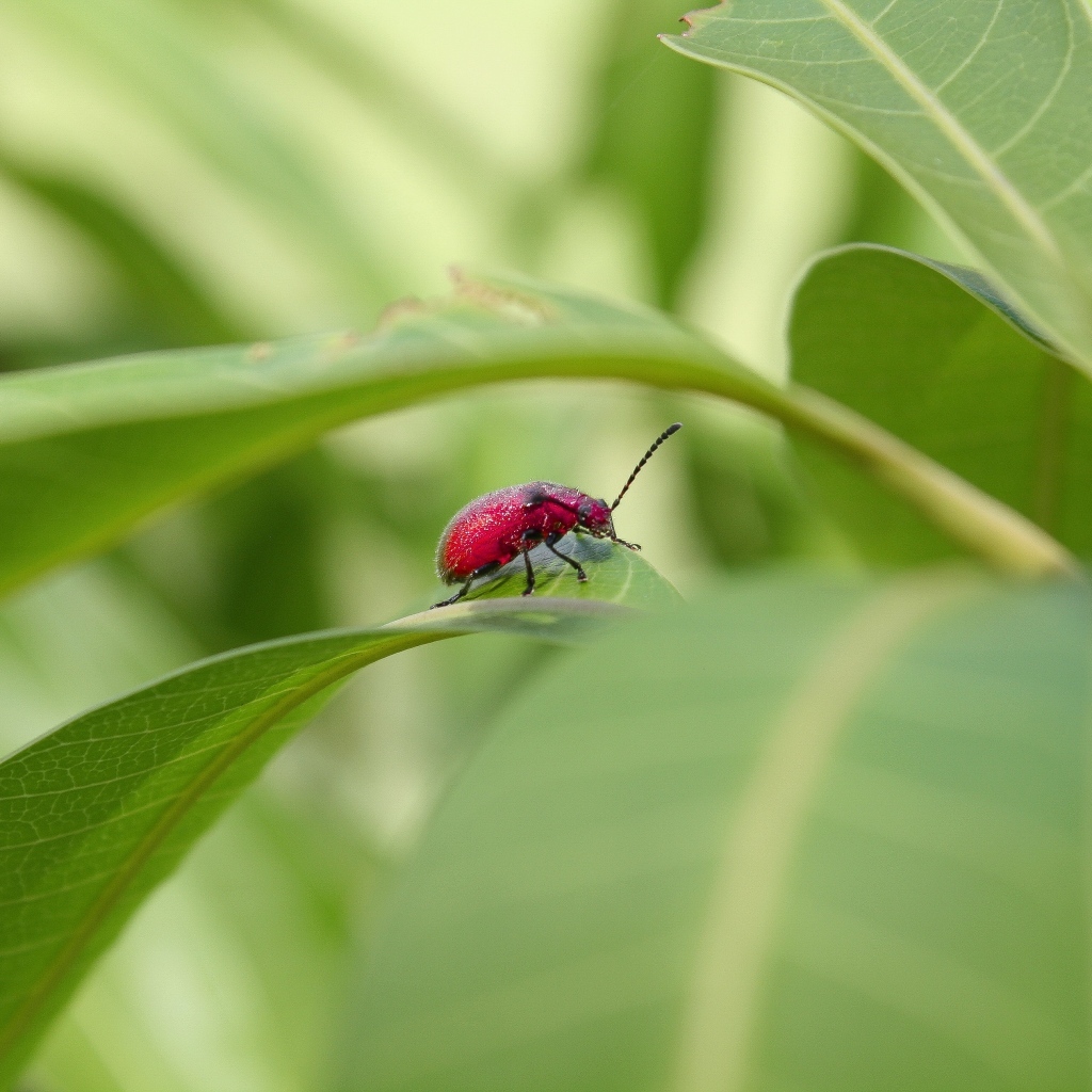 Красный жук сидит в зеленых листьях