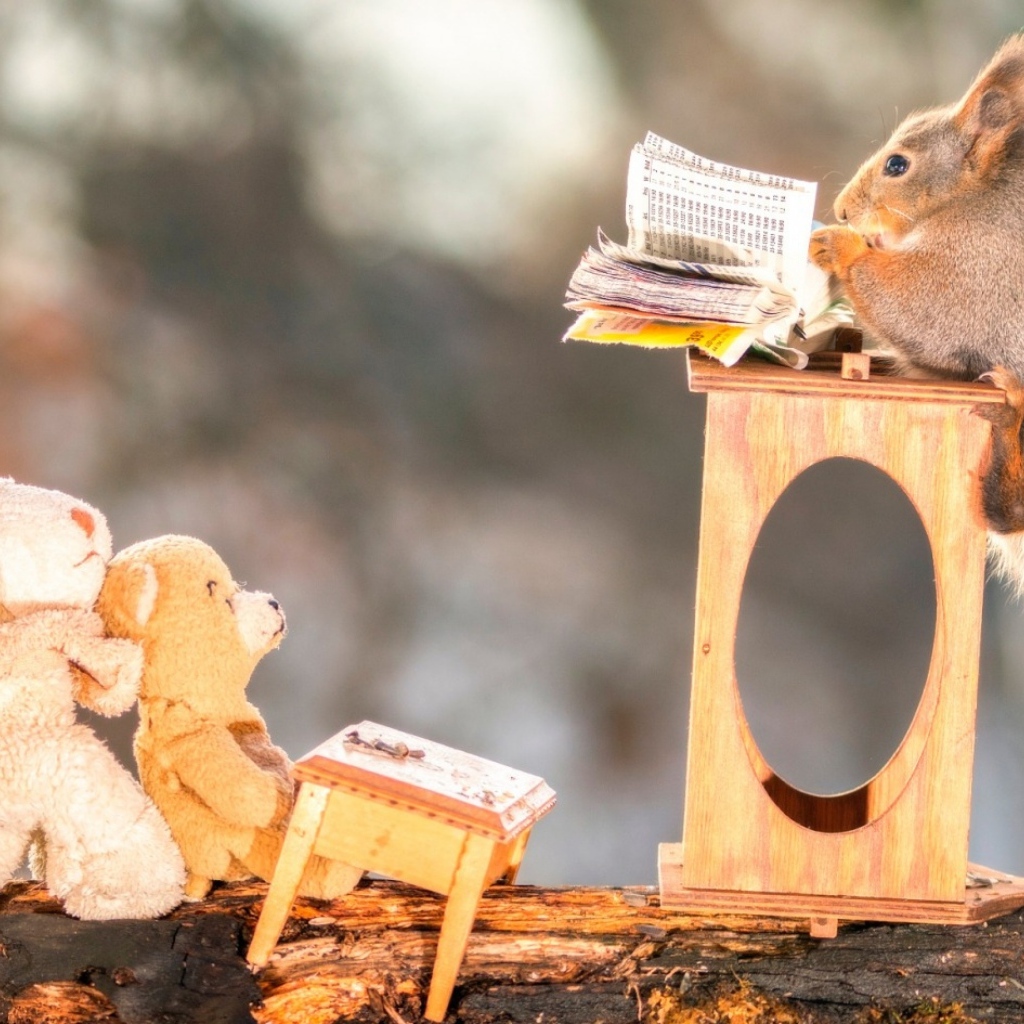 Маленькая белка читает книгу игрушкам