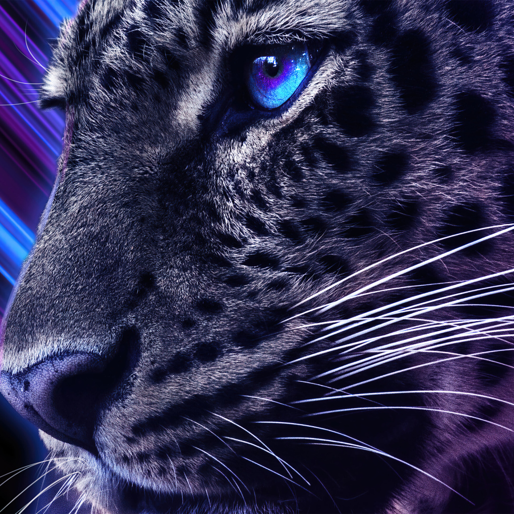 Голова леопарда с голубыми глазами