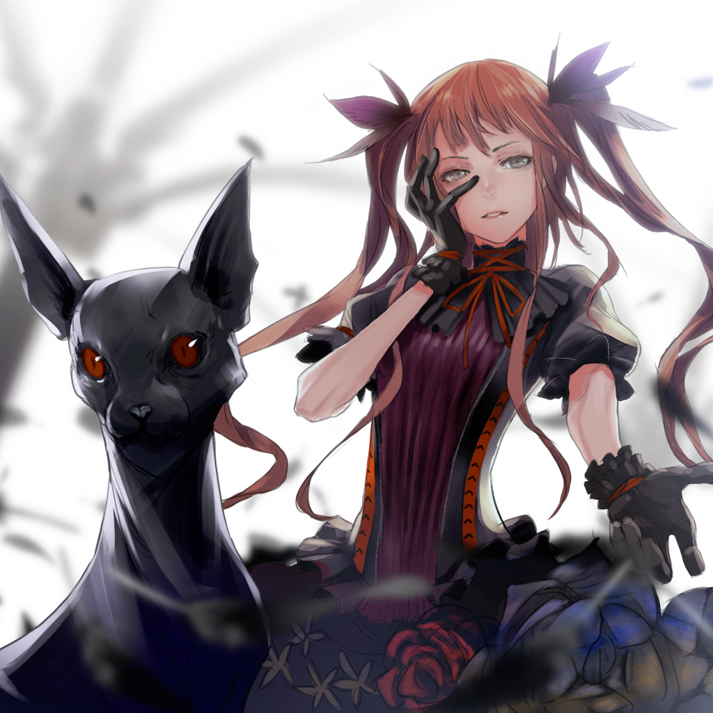 Девушка аниме с черным котом