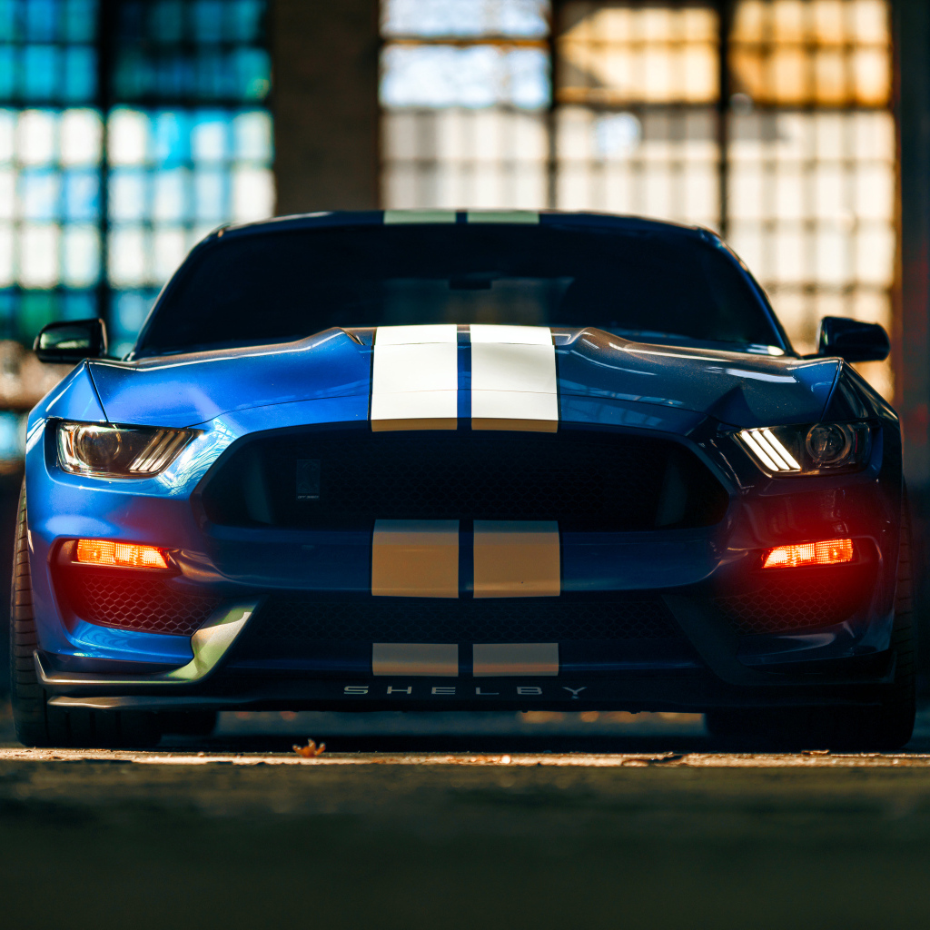 Красивый гоночный автомобиль Ford Mustang Shelby GT350 вид спереди